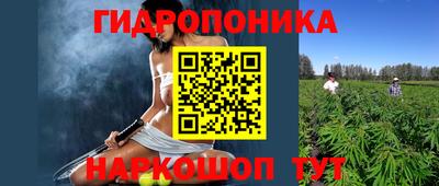 спайс Берёзовский