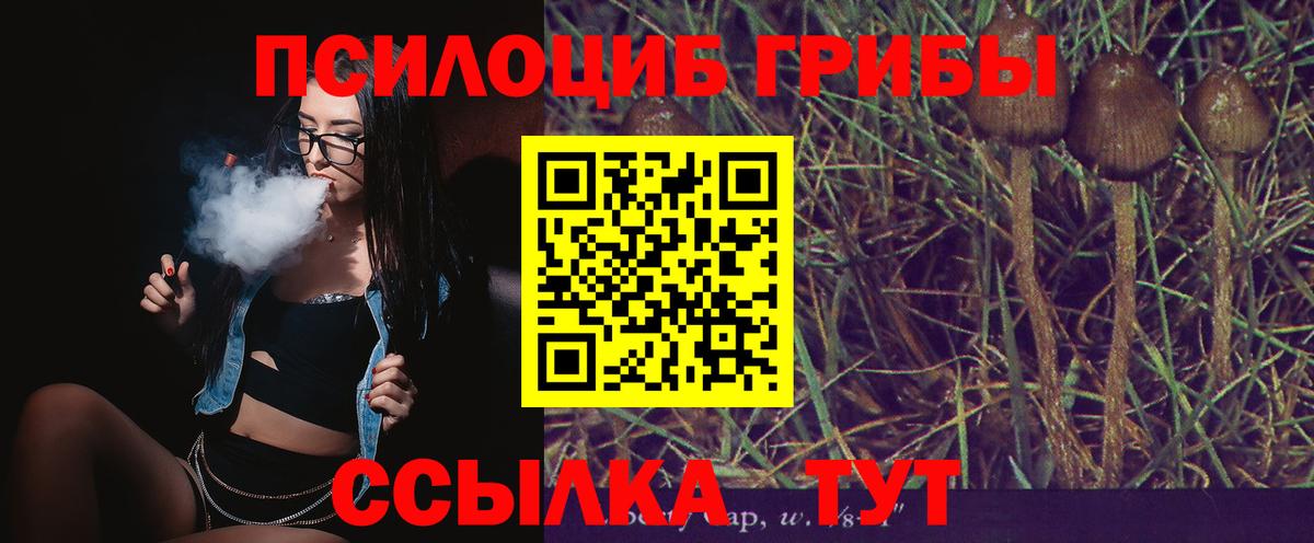 Псилоцибиновые грибы прущие грибы Ковров
